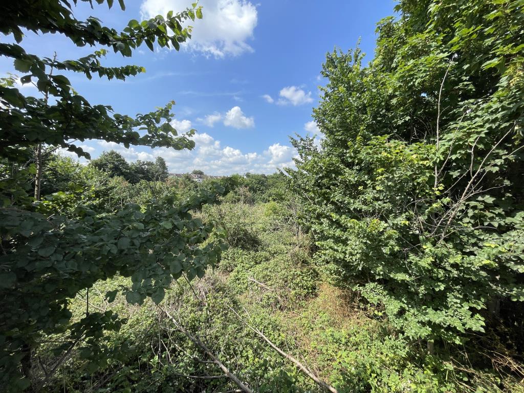 Lot: 134 - LAND WITH POTENTIAL - Gate view of site in St Vincents Avenue